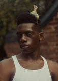 Afropick Harlem